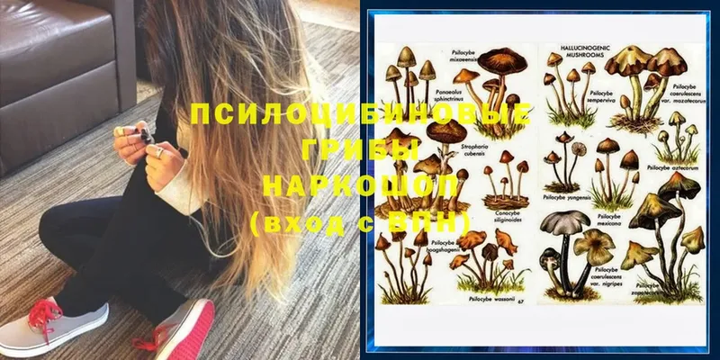 Псилоцибиновые грибы Magic Shrooms  Кинешма 